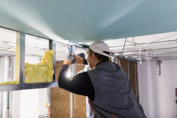 Best Insulation Installation Services in Stuttgt, AR