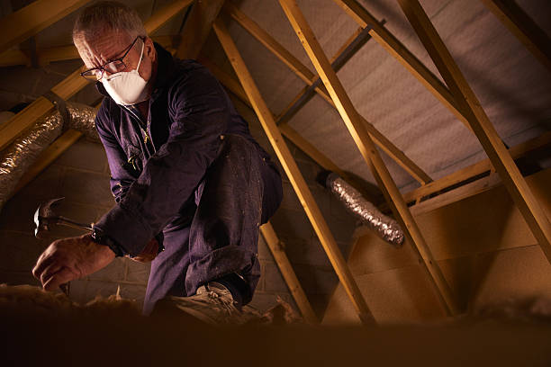 Best Residential Insulation in Stuttgt, AR
